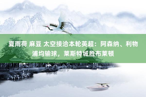 夏雨荷 麻豆 太空接洽本轮英超：阿森纳、利物浦均输球，<a href=