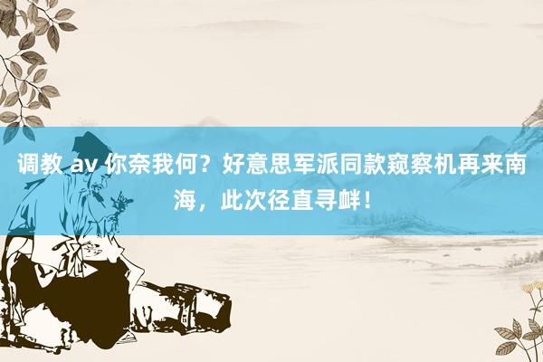 调教 av 你奈我何？好意思军派同款窥察机再来南海，此次径直寻衅！