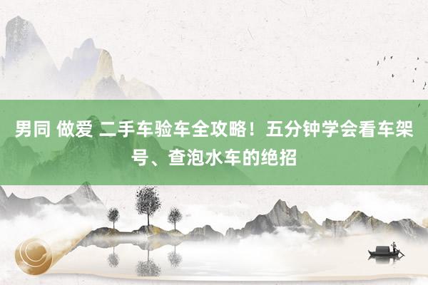 男同 做爱 二手车验车全攻略！五分钟学会看车架号、查泡水车的绝招