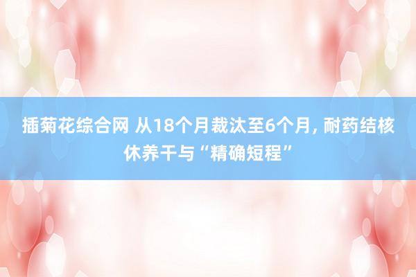 插菊花综合网 从18个月裁汰至6个月， 耐药结核休养干与“精确短程”