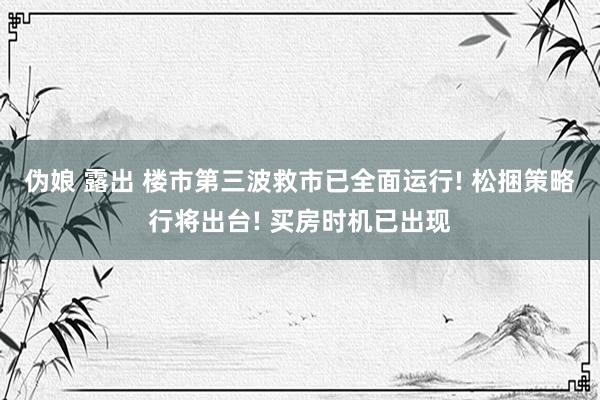 伪娘 露出 楼市第三波救市已全面运行! 松捆策略行将出台! 买房时机已出现