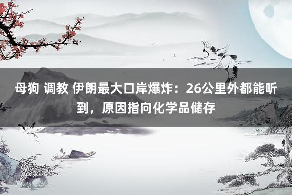 母狗 调教 伊朗最大口岸爆炸：26公里外都能听到，原因指向化学品储存