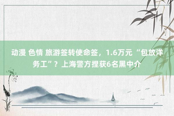 动漫 色情 旅游签转使命签，1.6万元 “包放洋务工”？上海警方捏获6名黑中介