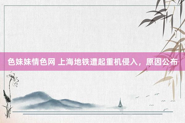 色妹妹情色网 上海地铁遭起重机侵入，原因公布