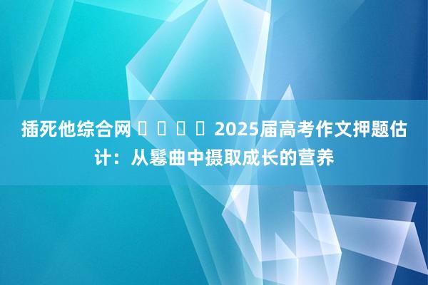 插死他综合网 ​​​​2025届高考作文押题估计：从鬈曲中摄取成长的营养