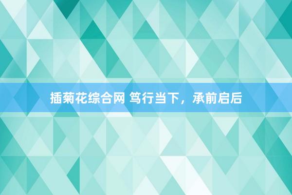 插菊花综合网 笃行当下，承前启后