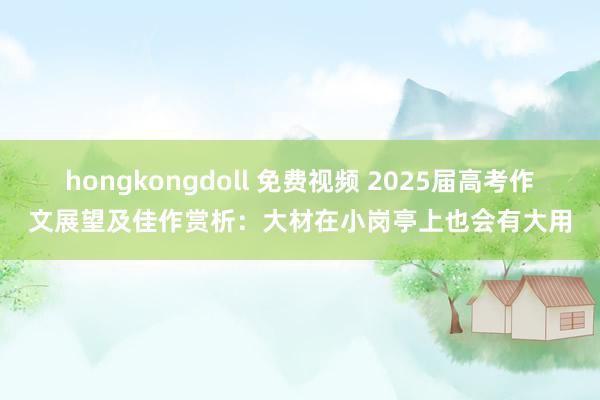 hongkongdoll 免费视频 2025届高考作文展望及佳作赏析：大材在小岗亭上也会有大用