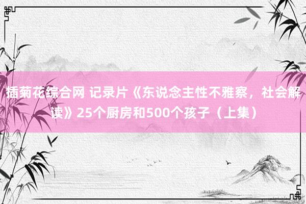 插菊花综合网 记录片《东说念主性不雅察，社会解读》25个厨房和500个孩子（上集）