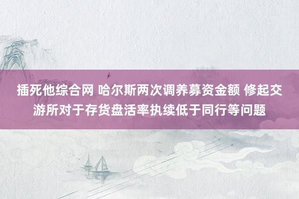 插死他综合网 哈尔斯两次调养募资金额 修起交游所对于存货盘活率执续低于同行等问题