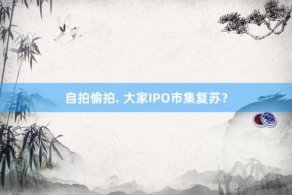 自拍偷拍. 大家IPO市集复苏？