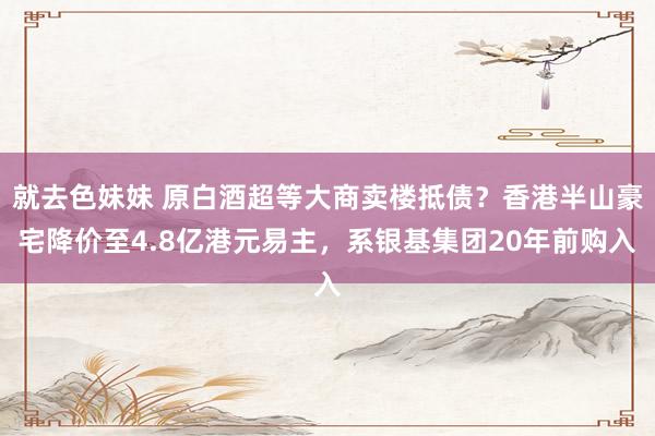就去色妹妹 原白酒超等大商卖楼抵债？香港半山豪宅降价至4.8亿港元易主，系银基集团20年前购入